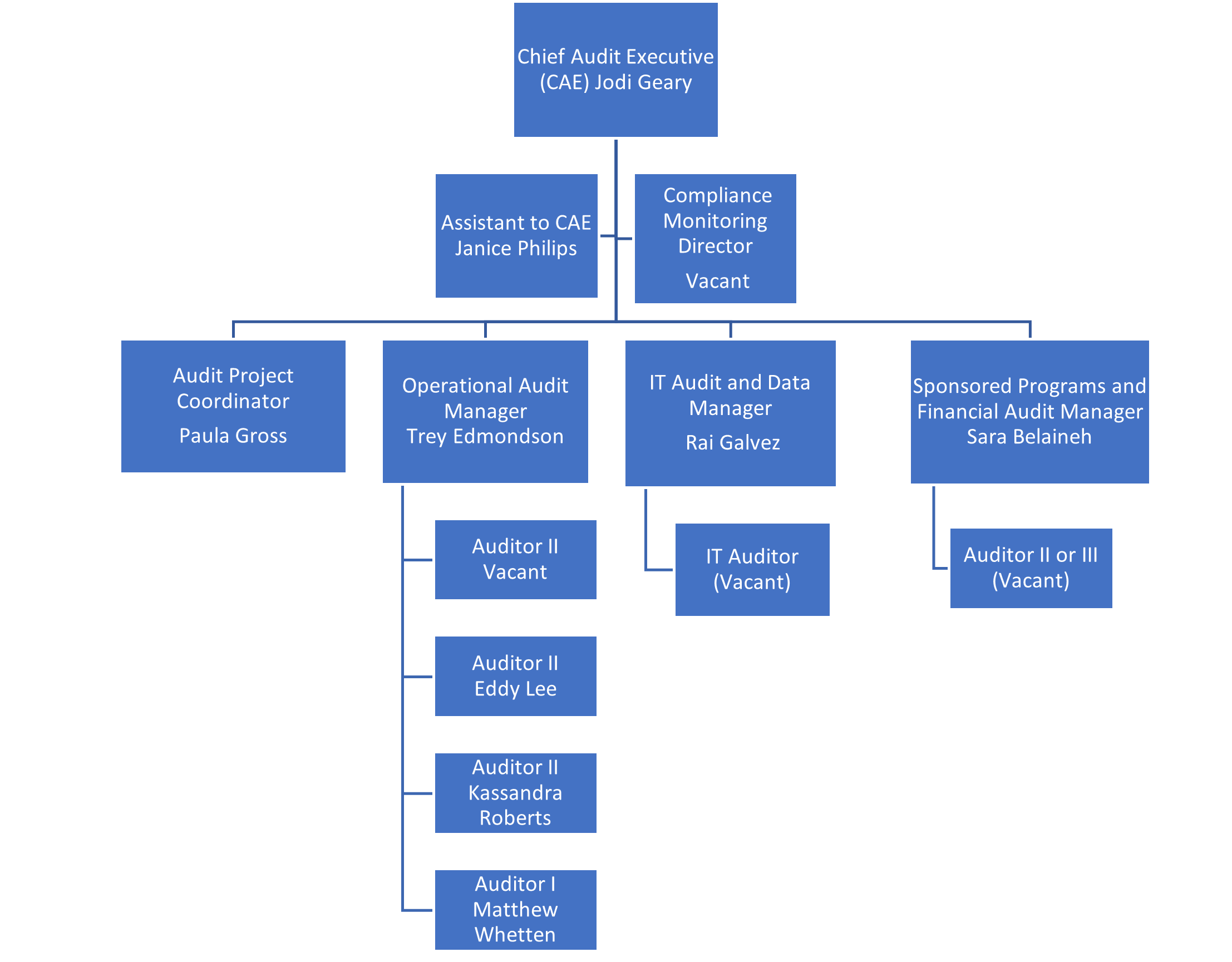 Organization Chart | Department of Internal Auditing